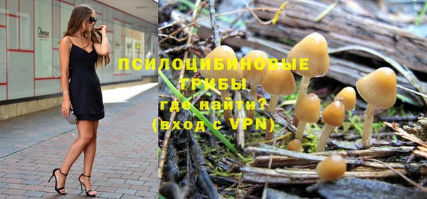 бутират Бикин