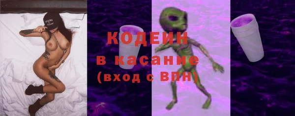 шишки Гусиноозёрск