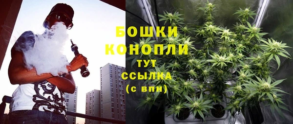 молекула духа Новокубанск