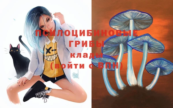 COCAINE Новозыбков