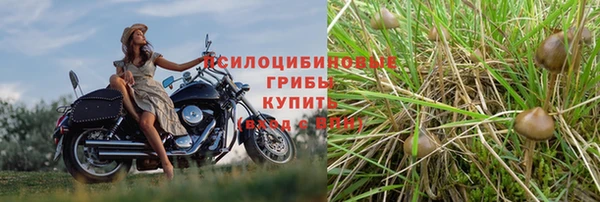 эйфоретик Беслан