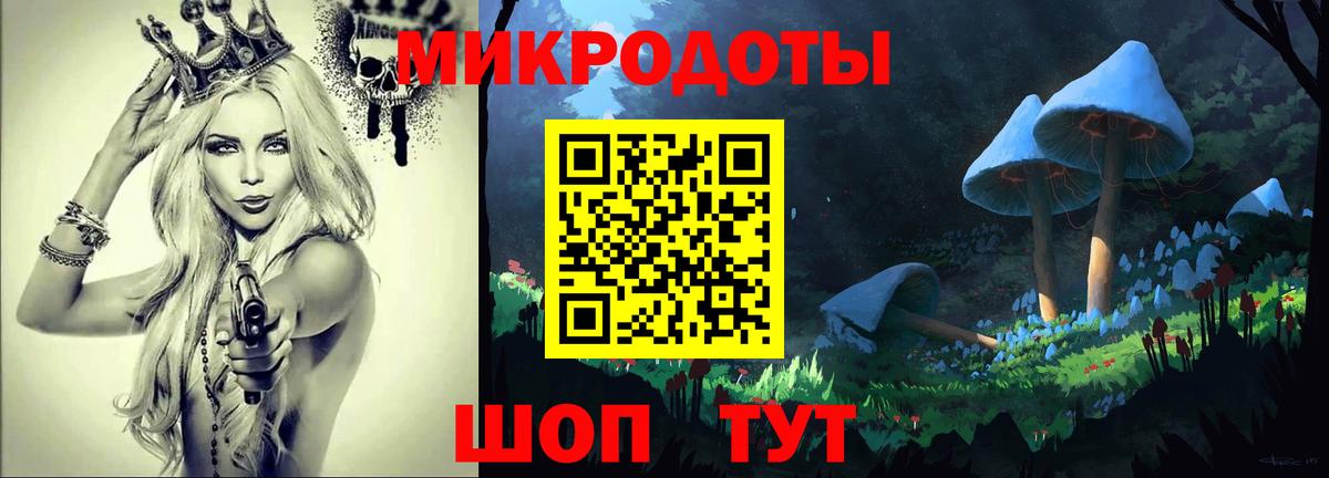 Вологда  Псилоцибиновые грибы Psilocybe  Вход с VPN 