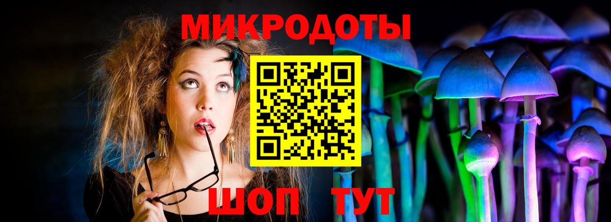 Галлюциногенные грибы Magic Shrooms Вологда